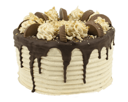 Peanut Butter Chocolate Layer Cake Reviews