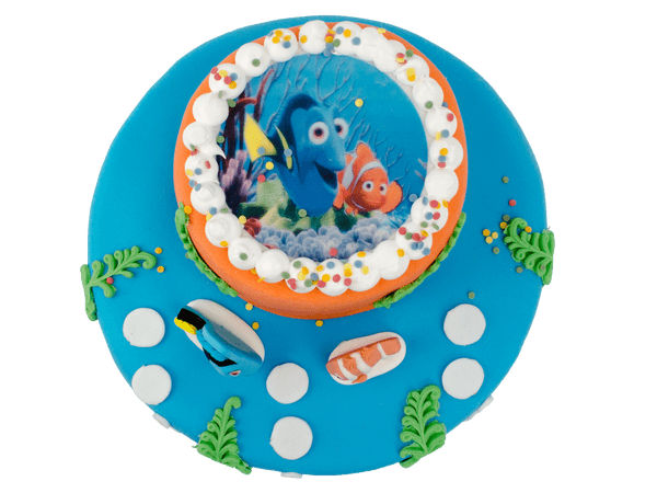 Nemo taart met afbeelding