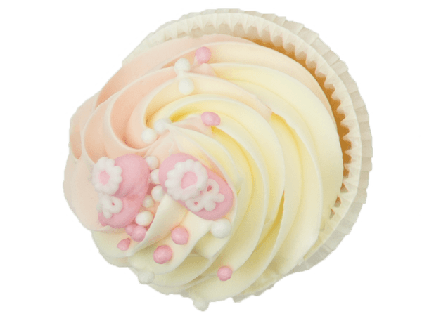 Cupcake Alternatief Beschuit met Muisjes