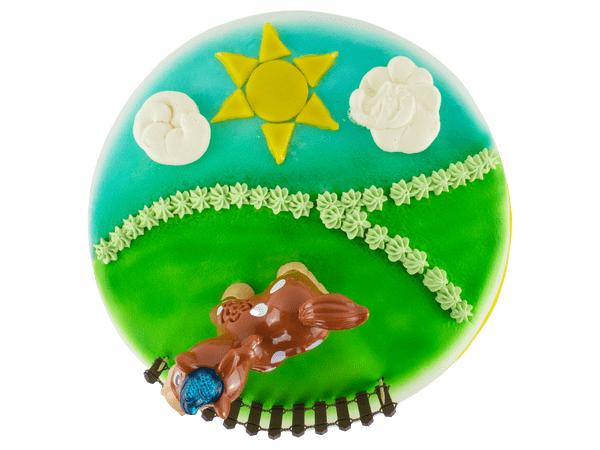 airbrush cake