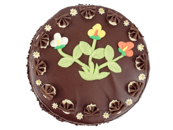 Chocoladecake met vrolijke decoratie